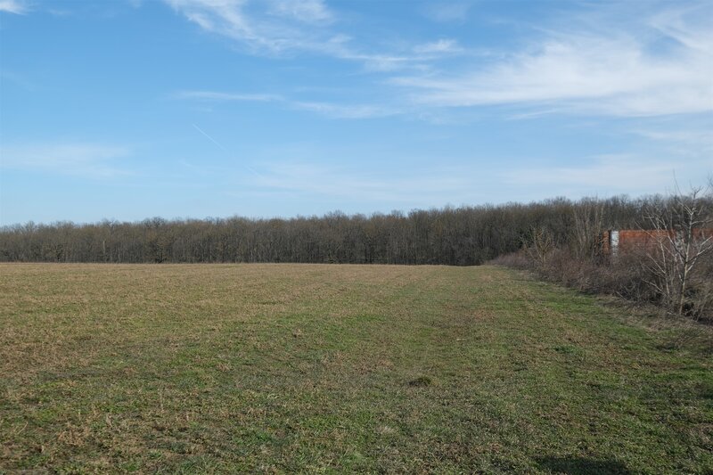 Ilfov Peninsula Ganeasa, 1075 mp. intravilan langa balta si padure